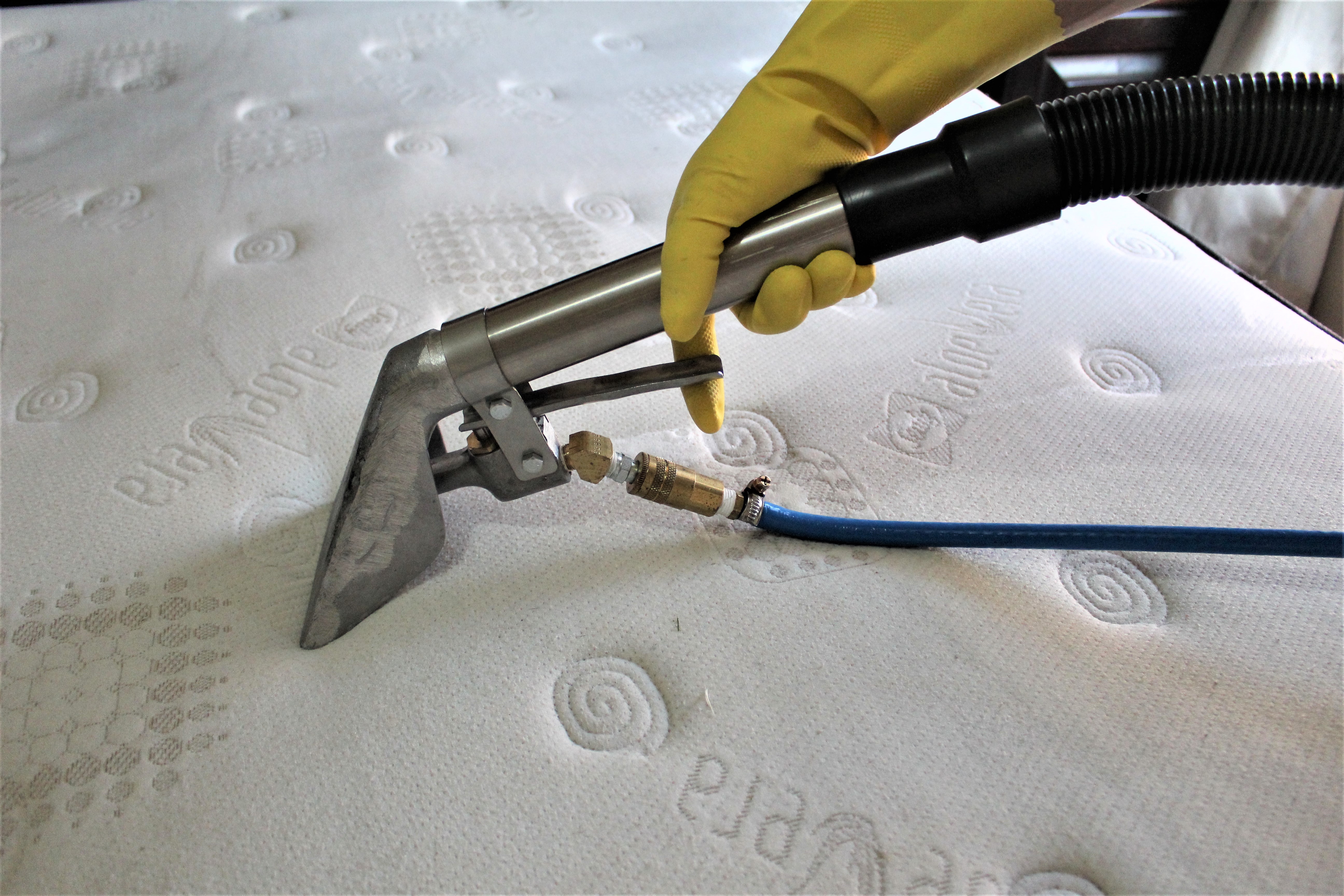 IMG_3882 (2) IMG_3882 (2)